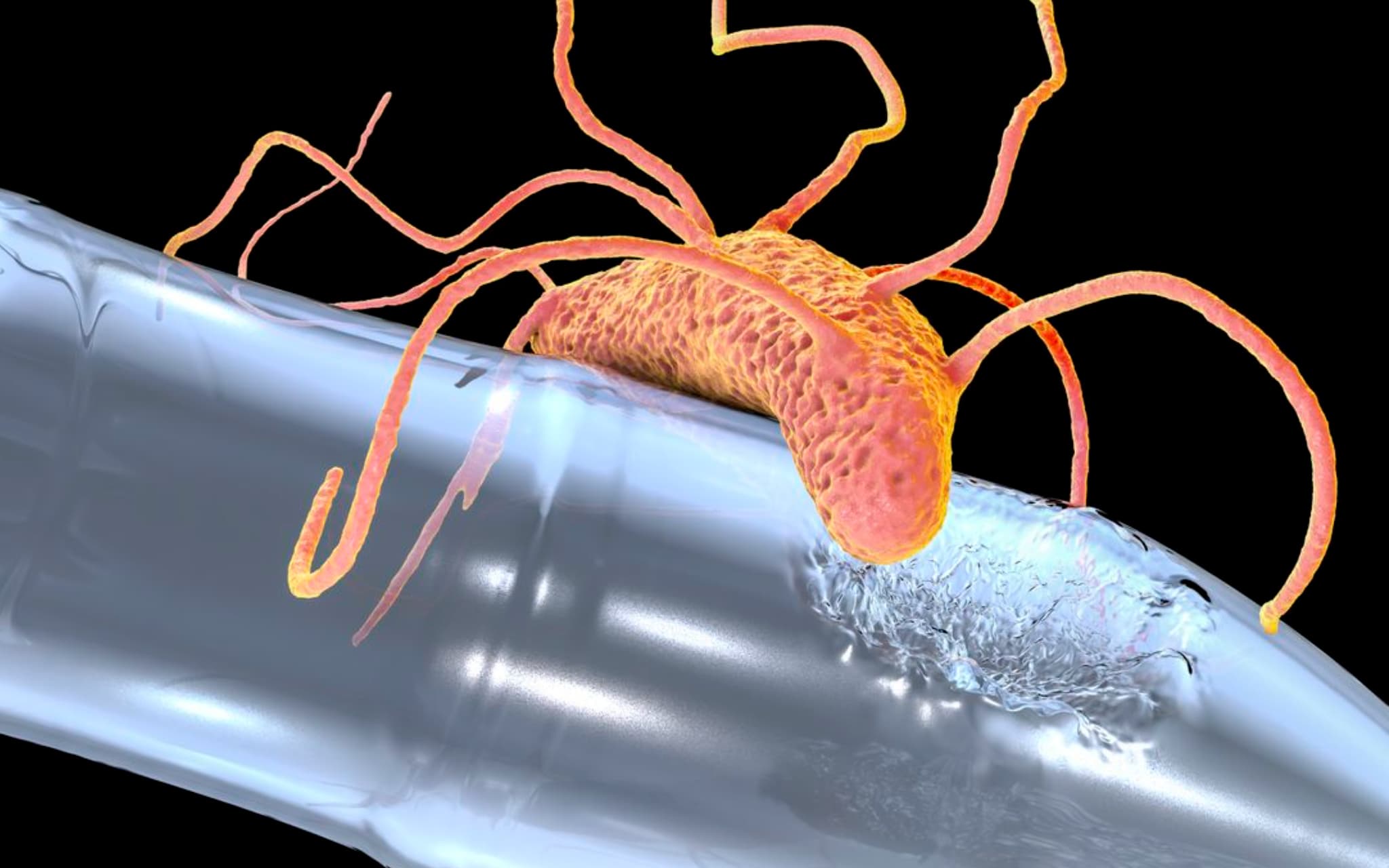 plastic eating microbes